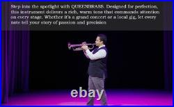 Flugel Horn Brass Bb Flat 4 Valve With Hard Case Mouthpiece Flugel Horn