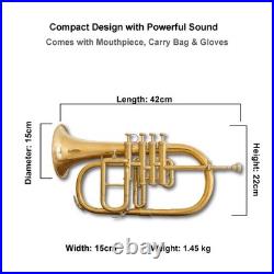 Flugel Horn Brass Bb Flat 4 Valve With Hard Case Mouthpiece Flugel Horn