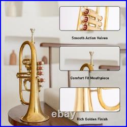 Flugel Horn Brass Bb Flat 4 Valve With Hard Case Mouthpiece Flugel Horn