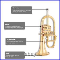 Flugel Horn Brass Bb Flat 4 Valve With Hard Case Mouthpiece Flugel Horn
