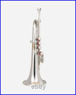 Flugel Horn NICKE Bb Flat 4 Valve With Hard Case Mouthpiece FLUGELHORN