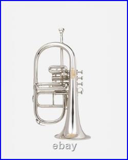 Flugel Horn NICKE Bb Flat 4 Valve With Hard Case Mouthpiece FLUGELHORN