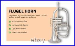 Flugel Horn NICKE Bb Flat 4 Valve With Hard Case Mouthpiece FLUGELHORN