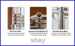 Flugel Horn NICKE Bb Flat 4 Valve With Hard Case Mouthpiece FLUGELHORN