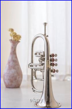 Flugel Horn NICKE Bb Flat 4 Valve With Hard Case Mouthpiece FLUGELHORN