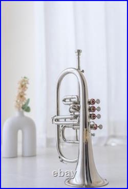 Flugel Horn NICKE Bb Flat 4 Valve With Hard Case Mouthpiece FLUGELHORN