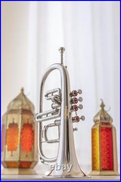 Flugel Horn NICKE Bb Flat 4 Valve With Hard Case Mouthpiece FLUGELHORN