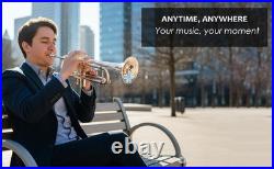 Flugel Horn NICKE Bb Flat 4 Valve With Hard Case Mouthpiece FLUGELHORN