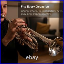 Flugel Horn NICKE Bb Flat 4 Valve With Hard Case Mouthpiece FLUGELHORN
