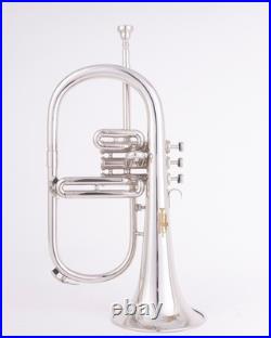 Flugelhorn Sliver 3 Valve Ultrasonically Clean, Case and Mouthpiece
