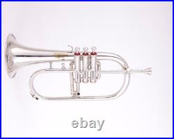 Flugelhorn Sliver 3 Valve Ultrasonically Clean, Case and Mouthpiece