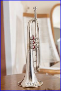 Flugelhorn Sliver 3 Valve Ultrasonically Clean, Case and Mouthpiece