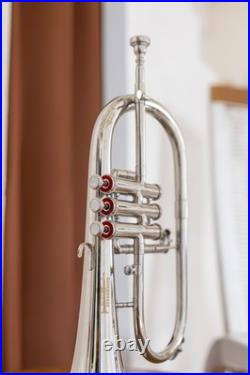Flugelhorn Sliver 3 Valve Ultrasonically Clean, Case and Mouthpiece