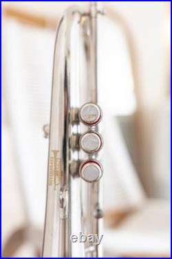 Flugelhorn Sliver 3 Valve Ultrasonically Clean, Case and Mouthpiece