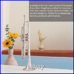 Flugelhorn Sliver 3 Valve Ultrasonically Clean, Case and Mouthpiece