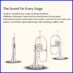 Flugelhorn Sliver 3 Valve Ultrasonically Clean, Case and Mouthpiece