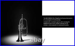 Flugelhorn Sliver 3 Valve Ultrasonically Clean, Case and Mouthpiece
