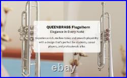 Flugelhorn Sliver 3 Valve Ultrasonically Clean, Case and Mouthpiece