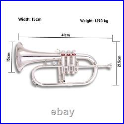 Flugelhorn Sliver 3 Valve Ultrasonically Clean, Case and Mouthpiece