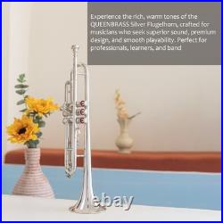Flugelhorn Sliver 3 Valve Ultrasonically Clean, Case and Mouthpiece
