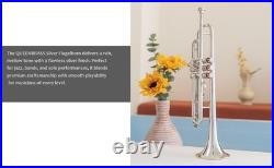 Flugelhorn Sliver 3 Valve Ultrasonically Clean, Case and Mouthpiece