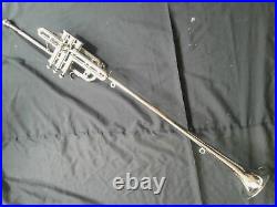 GREAT GIFT Bb FLAG TRUMPET Low Pitch Brass Musical Instrument With Hard Case