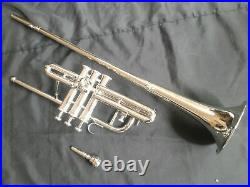 GREAT GIFT Bb FLAG TRUMPET Low Pitch Brass Musical Instrument With Hard Case