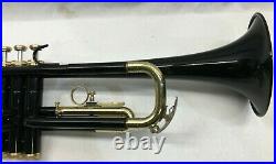 Giardinelli Gtr-312b Gtr312b Student Trumpet In Case, Excellent Shape Look