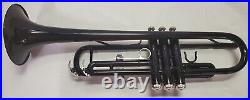 Glarry Black Brass Trumpet with Case and Care Kit