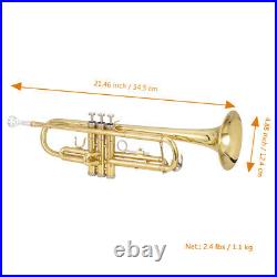 Glarry Brass Trumpet Bb with 7C Mouthpiece for Standard Student Beginner Golden