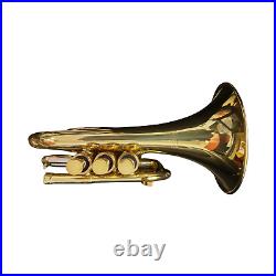 Gnarly Buttons Pocket Trumpet The Mini with Lacquer Finish, Premium Caps, 2-Ye
