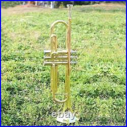 Golden Brass Trumpet Bb B Flat Instrument Mouthpiece Phosphor Copper Horn Box