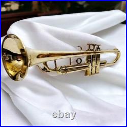 Handmade pipe for music room, music room, non-working brass instruments