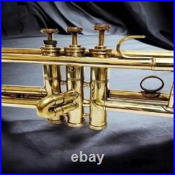 Handmade pipe for music room, music room, non-working brass instruments