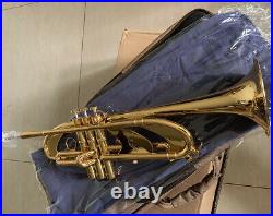 Heavy Professional Gold Plated Trumpet Bb Horn With Case