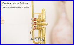 Herald Flag Trumpet in Bb Brass Finish with Case and Mouthpiece for Parade-Band