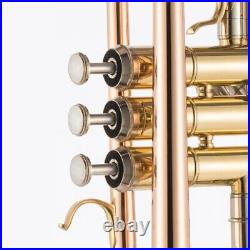 JYTR-M300G Professional Trumpet B-flat Brass High Quality Trumpet Instrument