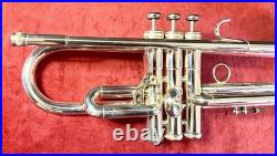 King Sliver Flair Professional Trumpet? Gorgeous