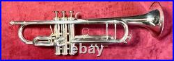 King Sliver Flair Professional Trumpet? Gorgeous