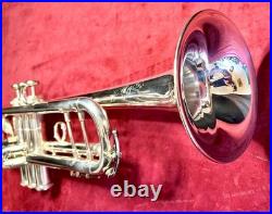King Sliver Flair Professional Trumpet? Gorgeous