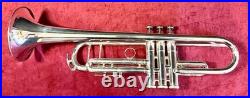 King Sliver Flair Professional Trumpet? Gorgeous
