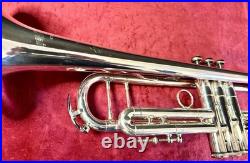 King Sliver Flair Professional Trumpet? Gorgeous