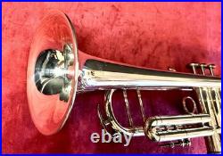 King Sliver Flair Professional Trumpet? Gorgeous