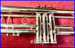 King Sliver Flair Professional Trumpet? Gorgeous