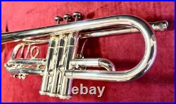 King Sliver Flair Professional Trumpet? Gorgeous