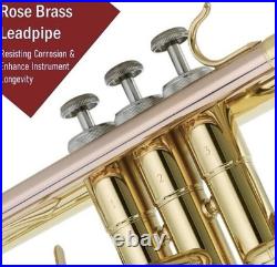 Libretto Gold Lacquer Bb Trumpet Set, Rose Brass Leadpipe, Standard for Begin