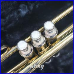 Maxtone Trumpet 210224 Body with Case