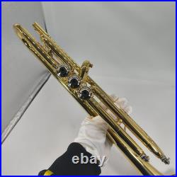 Maxtone Trumpet 210224 Body with Case