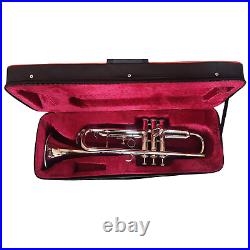 Musical Instrument Trumpet Nickel Brass Woodwind With Valentine's Day Gift