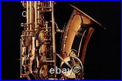 NEW Yanagisawa AWO2 (A-WO2) Bronze Alto Saxophone BrassBarn
